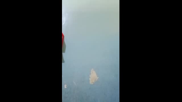 Berjilbab ketat ngentoot.mp4