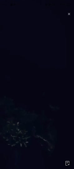 Lisa Prank Ojol_20251217_021528.mp4